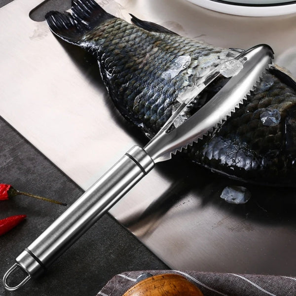 Grattoir à Écailles de Poisson en Acier Inoxydable | Éplucheur Rapide et Nettoyeur Multifonction pour Cuisine | Accessoire Écologique