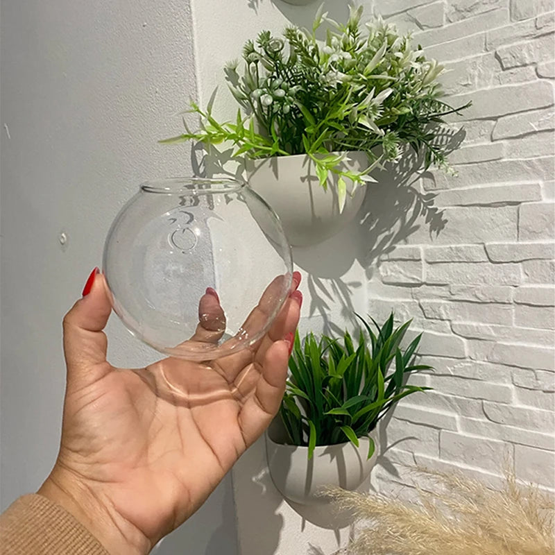 Vase Mural Moderne pour Hydroponie & Fleurs | Décoration Gain de Place et Élégante - StellerBrand