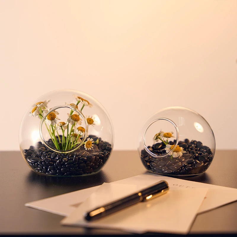 Vase Mural Moderne pour Hydroponie & Fleurs | Décoration Gain de Place et Élégante - StellerBrand
