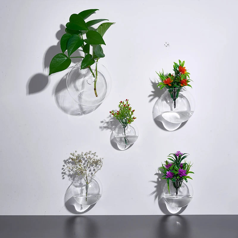 Vase Mural Moderne pour Hydroponie & Fleurs | Décoration Gain de Place et Élégante - StellerBrand