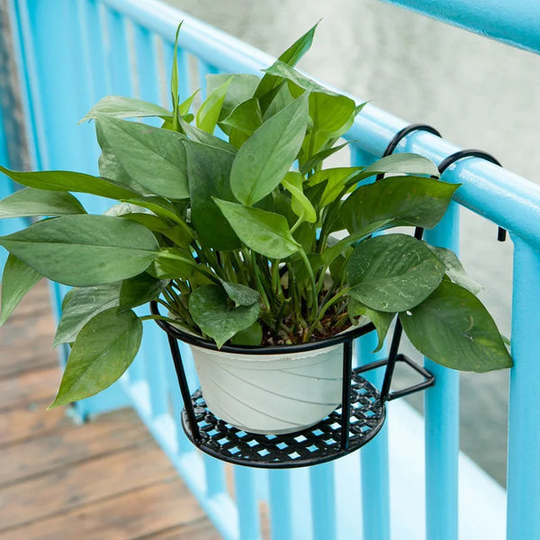 Panier Suspendu en Fer Rond - Support pour Plantes et Fleurs pour Balcon, Fenêtre, Clôture