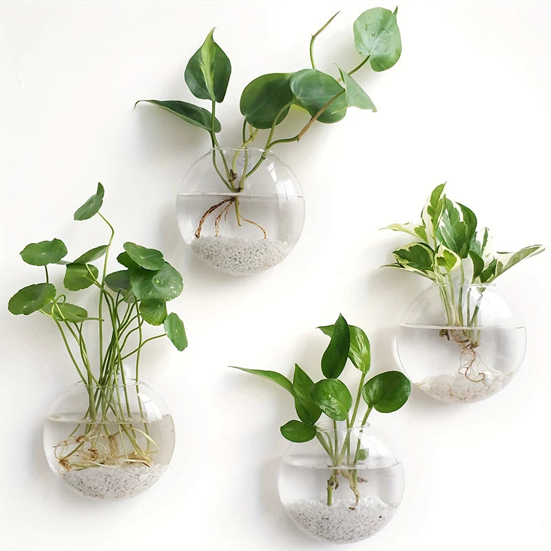 Vase Mural Moderne pour Hydroponie & Fleurs | Décoration Gain de Place et Élégante - StellerBrand