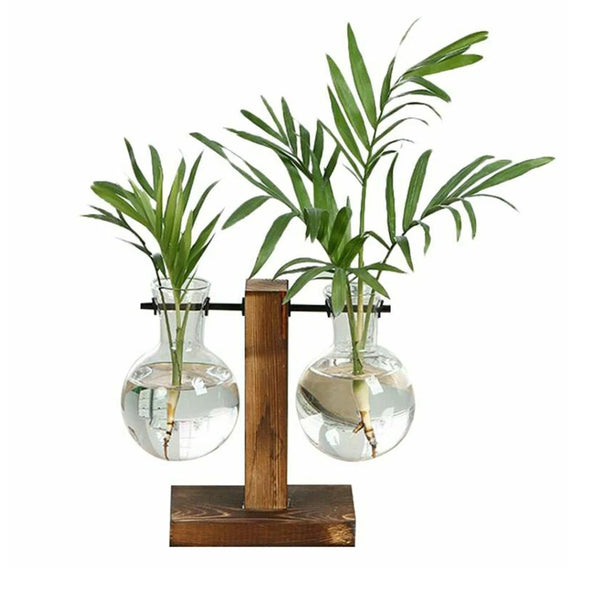 Terrarium Hydroponique avec Pot Vintage – Vase Transparent avec Cadre en Bois pour Plantes et Bonsaï