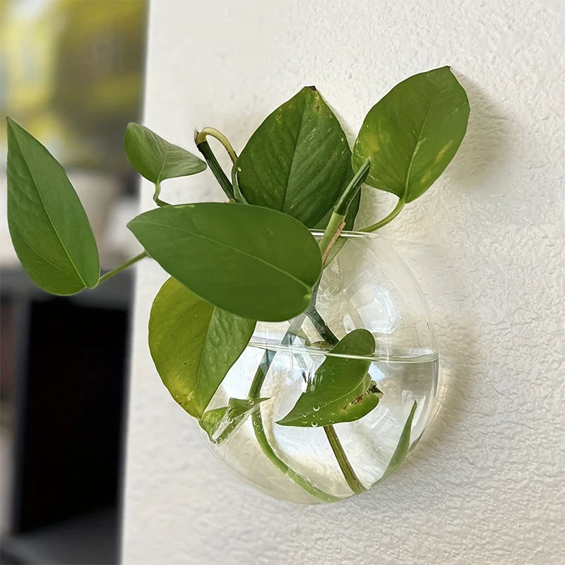 Vase Mural Moderne pour Hydroponie & Fleurs | Décoration Gain de Place et Élégante - StellerBrand